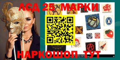 гашик Славгород