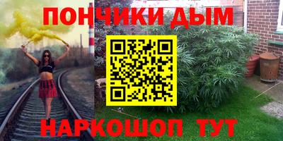 гашик Славгород