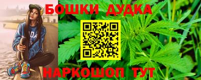 гашик Славгород