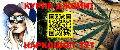 гашик Славгород